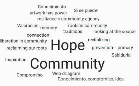 A wordcloud developed by DRLC participants in their last learning session.