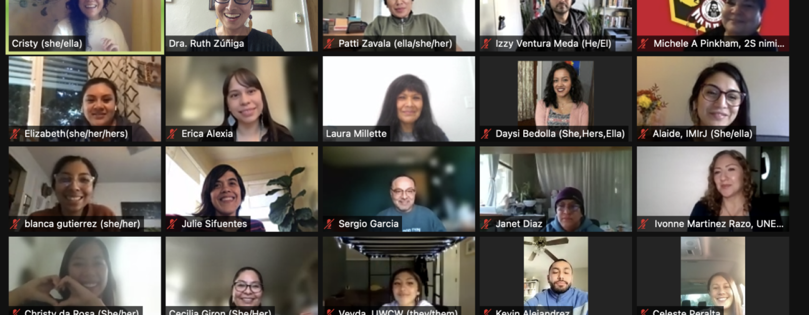 A screen grab of a Zoom call featuring the participants of the Disaster Resilience Learning Collaborative