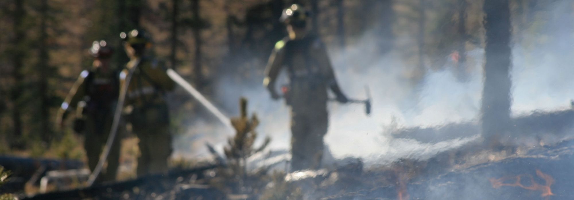 A photo showing hazy smoky conditions with fire fighters in a burnt forest