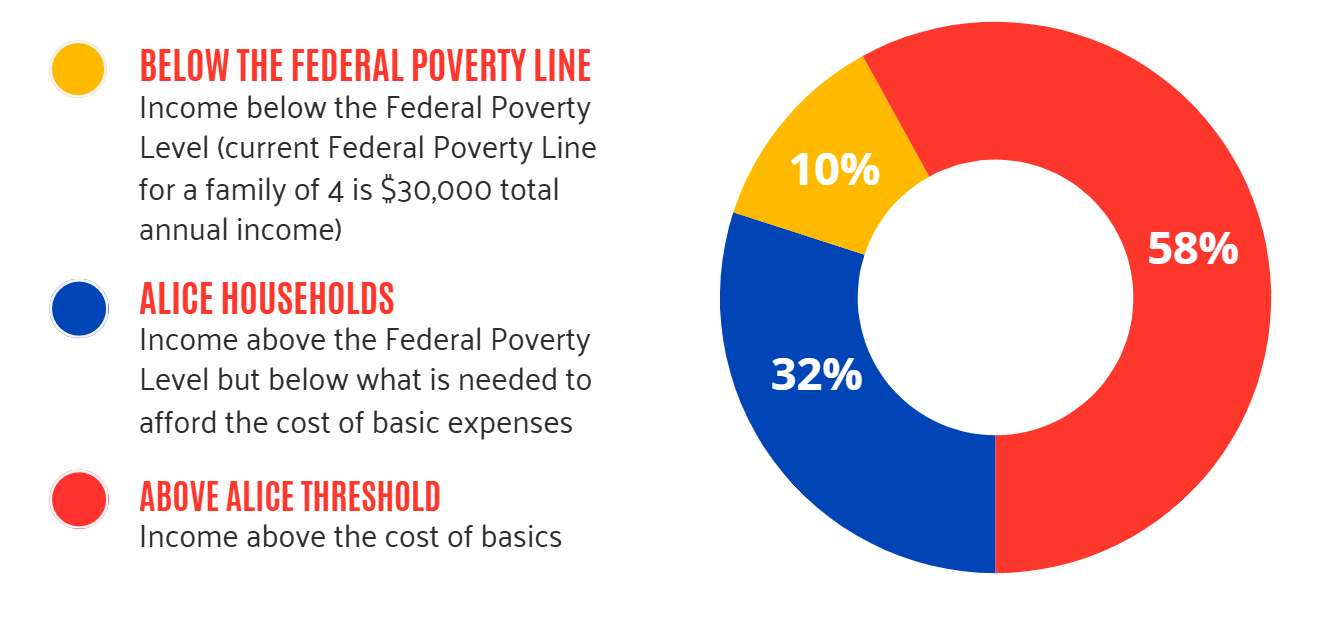 A graph saying Income below the Federal Poverty Level (current Federal Poverty Line for a family of 4 is $30,000 total annual income)