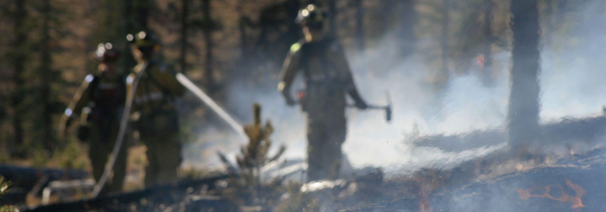 a hazy smoky photo of firefighters in a forest