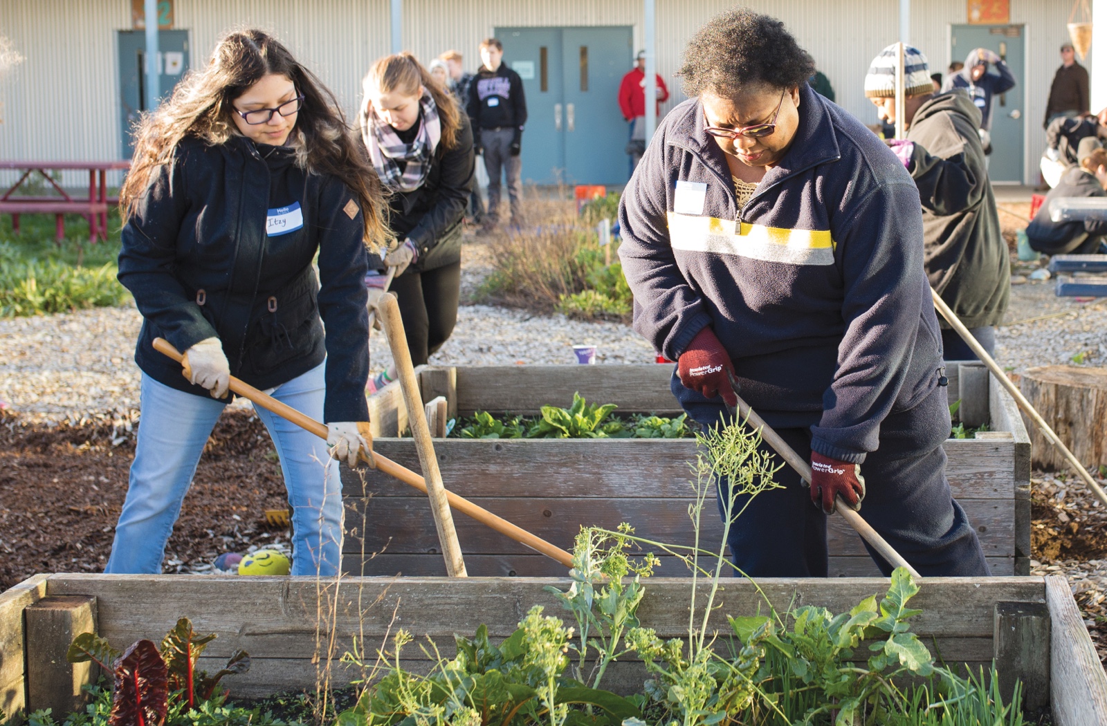 Women volunteers weeding in a garden at Gilbert Park Elementary school